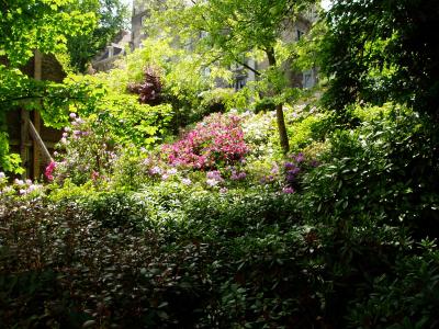 Rhododendrenpark