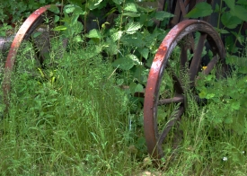 Natur und Technik