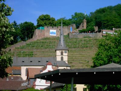 Die Clingenburg in Klingenberg a. Main