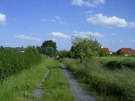 Feldweg in Hessen