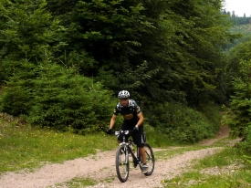 Mountainbiking im Thüringer Wald.