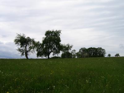 Landschaft TÃ¼bingen