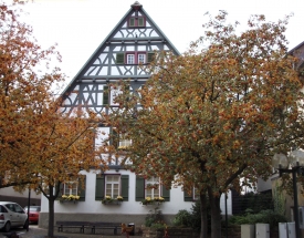 Stadtmuseum Fellbach