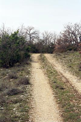 Feldweg in Umbrien