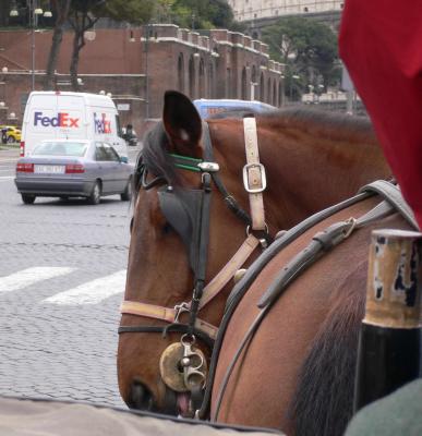 Fed Ex und Kutschpferd in Rom