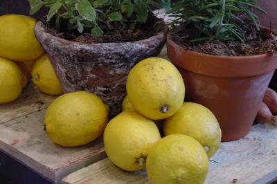 Zitronen vor Gewürztöpfen