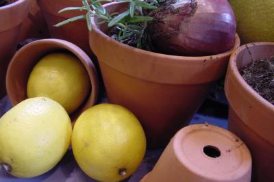 Zitronen und Pflanztöpfe