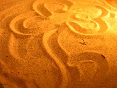 Blume im Sand