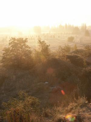 Morgens am Berliner Standrand 3