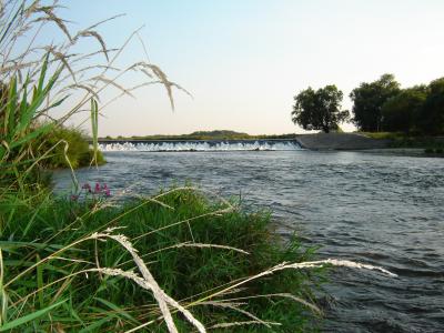 Sommertag an der Mulde