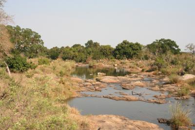 Sabie River