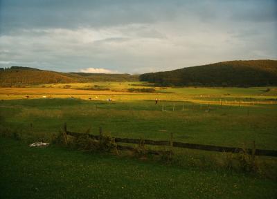 Lichtspiele in der Eifel