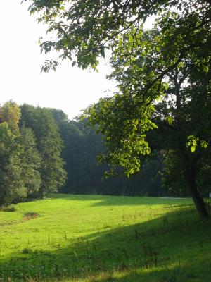 Wiesengrund