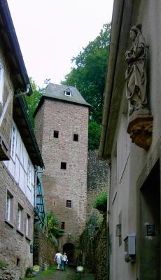 Die Mildenburg in Miltenberg