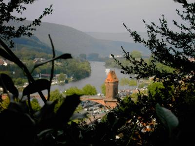 Die Mildenburg in Miltenberg