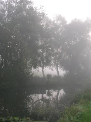 Nebliger Morgen am Teich
