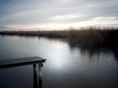 Sonnenaufgang am Neusiedlersee