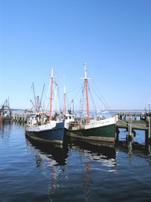 Boote in Provincetown
