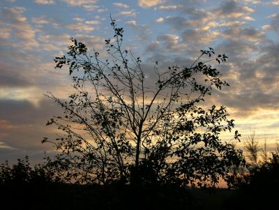 Herbstliches Abendlicht