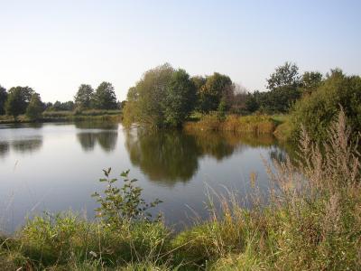 Entspannung am Teich