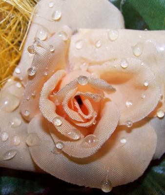 Dekorative Rose