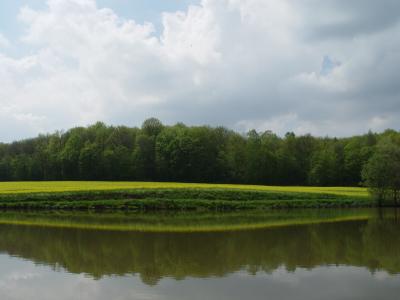 am Teich