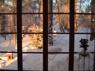 Blick in den Januargarten