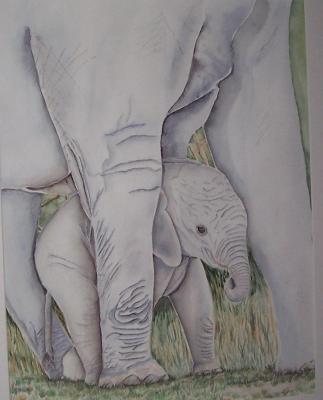 Elefanten, Aquarell