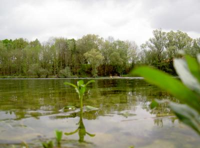 Der See