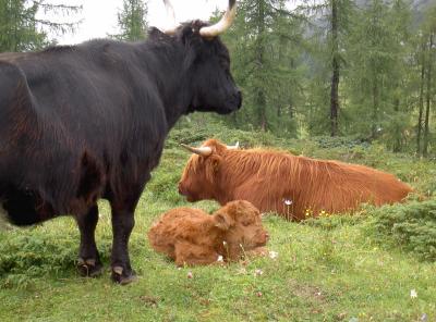 Hier wache ich.... mein Kind