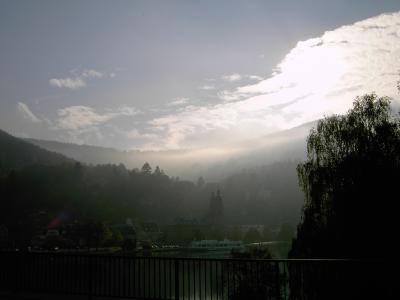 Herbstnebel in Miltenberg am Main