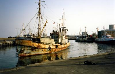 Polnische Fischer