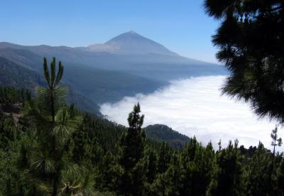 Teide in Watte