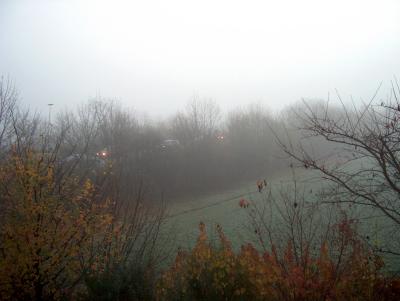Nebel in Ismaning