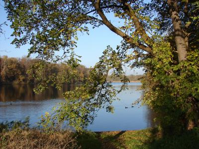 Blick über den herbstlichen see