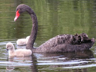 Familienglück...