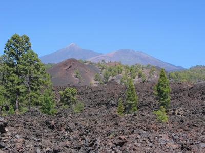 noch ein Bild vom Teide