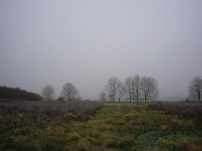 Nebel 4