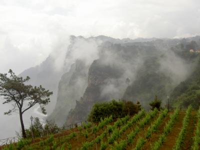 Madeiras Küste im Nebel