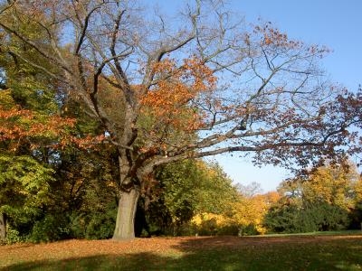 Herbst auf dem Kreuzberg