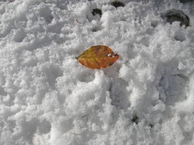 Der Winter hat den Herbst verdrängt...