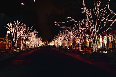 unter den linden