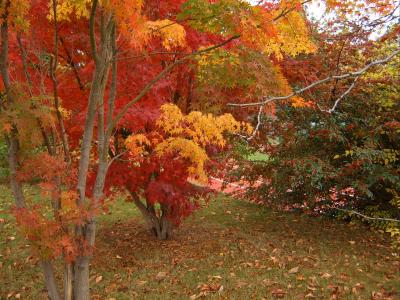 Farbiger Herbst