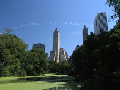 New Yorker Central Park