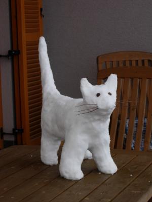 Schneekatze