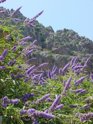 Mallorca