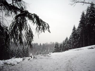 im Winter 5