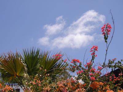 Wolkenformation