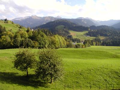 Bergpanorama in Vorarlberg 2