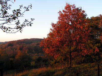 Goldener Oktober